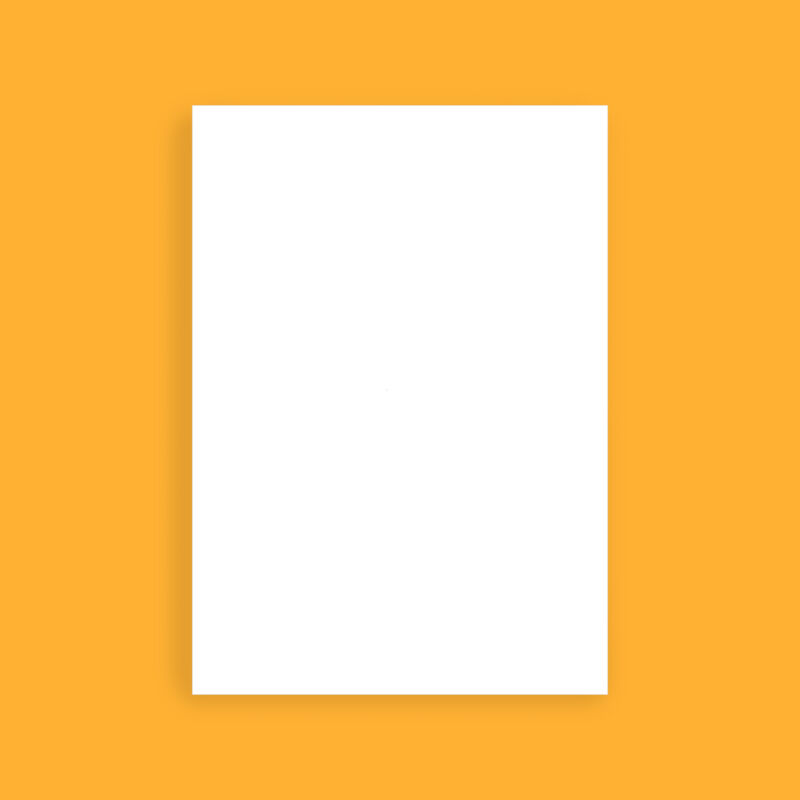 A3 TRANSFER Thumbnail